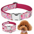 OEM Fashion Custom Luxury Dog Collars and Leashes